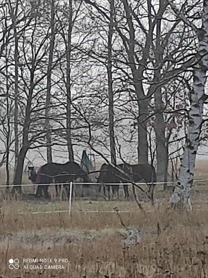 Vila Zakatek Zurawi 2 Svinoústí Exteriér fotografie