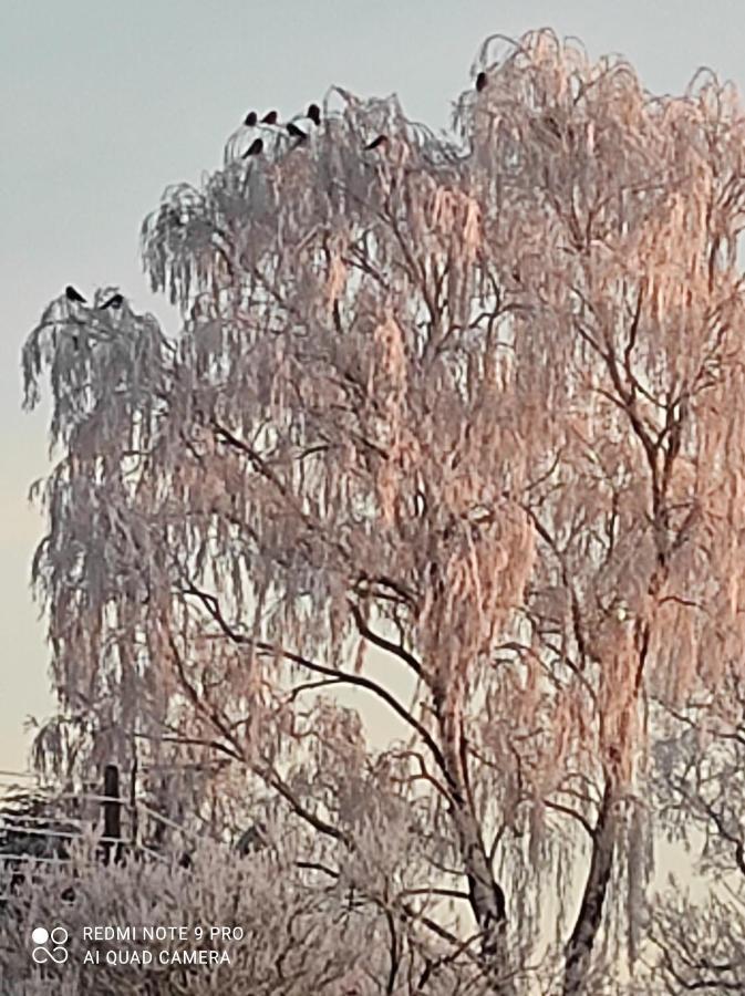 Vila Zakatek Zurawi 2 Svinoústí Exteriér fotografie