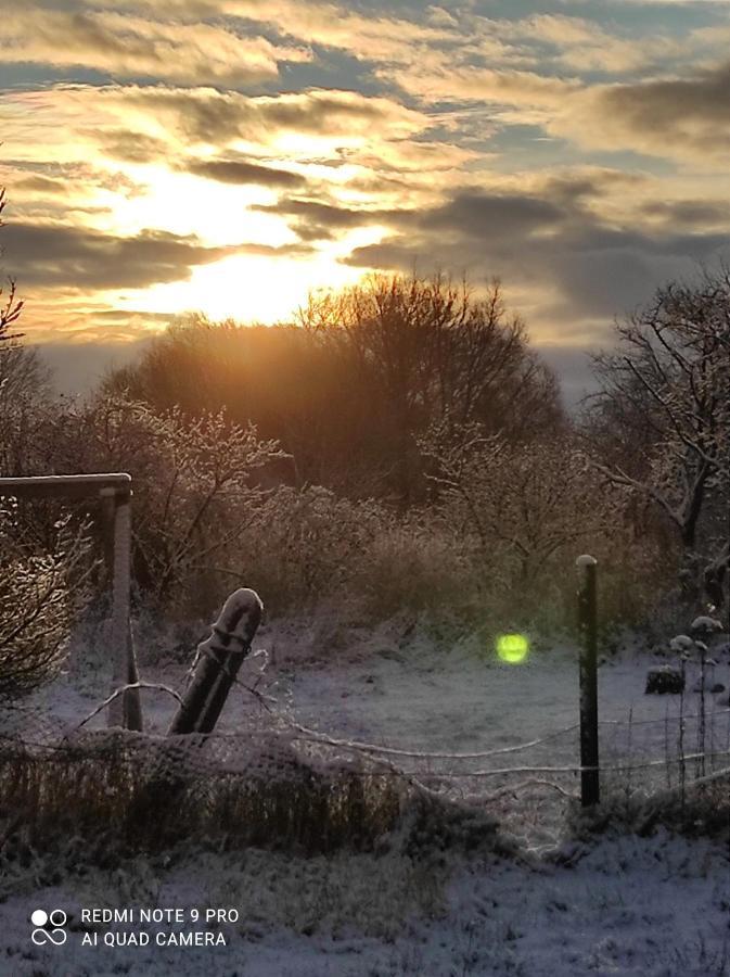 Vila Zakatek Zurawi 2 Svinoústí Exteriér fotografie