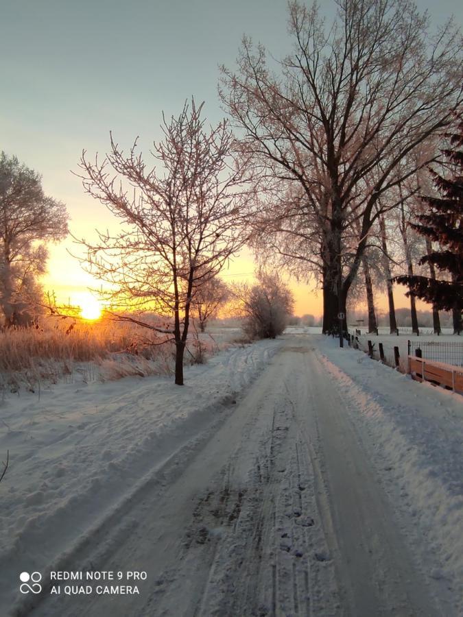 Vila Zakatek Zurawi 2 Svinoústí Exteriér fotografie