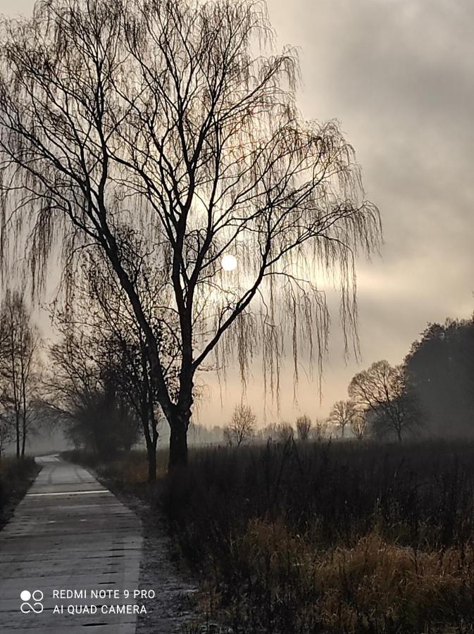 Vila Zakatek Zurawi 2 Svinoústí Exteriér fotografie